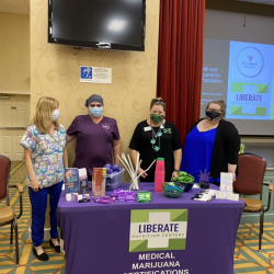 Dr. Angels Development