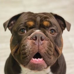 Our Doctors and Patient Care Team