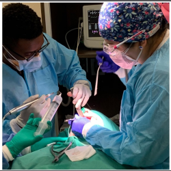 Bone Grafting