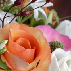 Send Flowers and Gifts