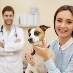 Pet Intensive Care