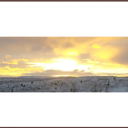 Emergency Management