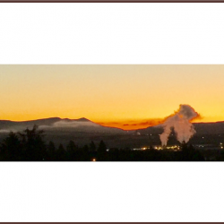 Volunteer Opportunities