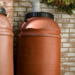 Rain Barrels