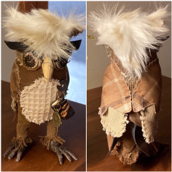 Black Mountain Owls