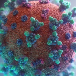 COVID Information Center