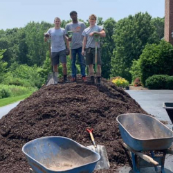 Spring/ Fall Cleanups