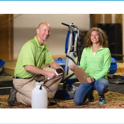 Rug Cleaning