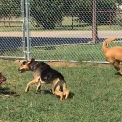 Play Yard