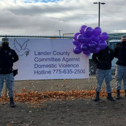 Helping Domestic Violence