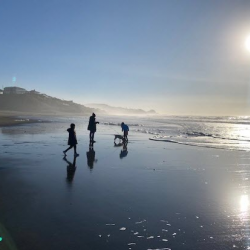 Individual and Family Health Insurance Consultation