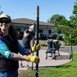 Business Assistance & Resources