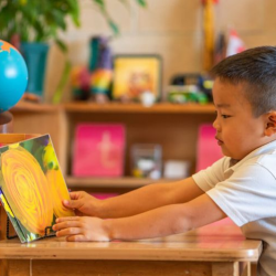 Positive Behavior Support (PBS)