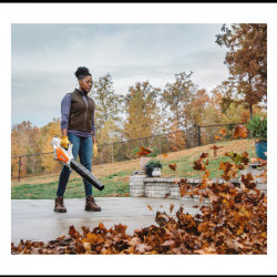 Leaf Blower Service