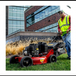 Push/Walk-Behind Mower Service