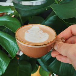 Latte