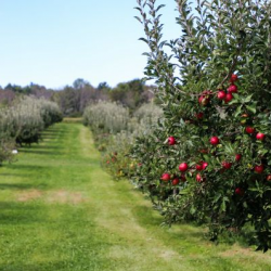 Agricultural Employer Support