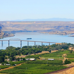 Real Estate & Land Use