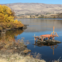 Online Worship Service