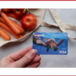 Prepaid Visa Cards