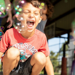 Recreational and Social Activities