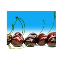Sweet Cherry Production