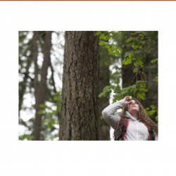 Forestry and Natural Resources