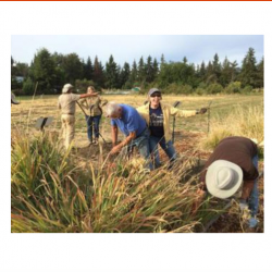 Land Steward Program