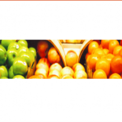 Nutrition Education and Outreach Programs