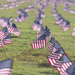 Veterans Services