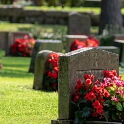 Resting Places
