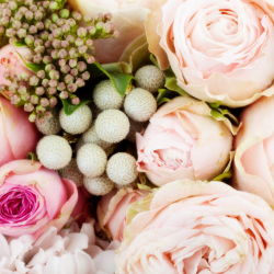 Send Flowers