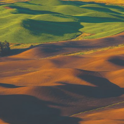 Agriculture Industries