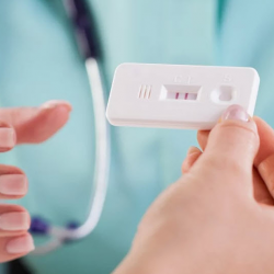 Pregnancy Confirmation