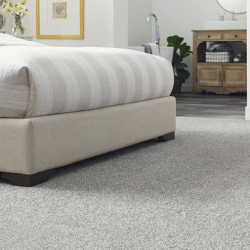 Color Destination Carpet