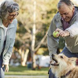 Humana Medicare Plans