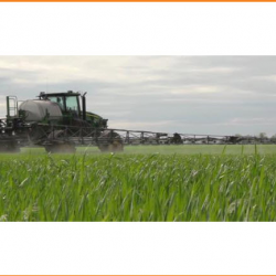 Agriculture Lending