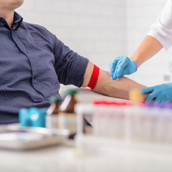 Laboratory & Testing Services