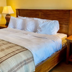 Deluxe King with Triple Head Shower