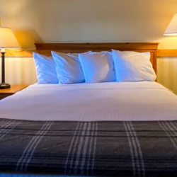 European Petite Queen