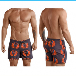 Men's Swimwear
