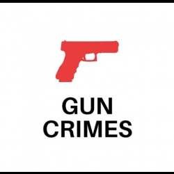 Gun Crimes