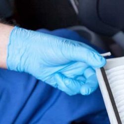 Cabin Air Filter Services
