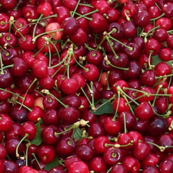 Conservation Stewardship Program 