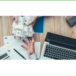 Tax Management Services