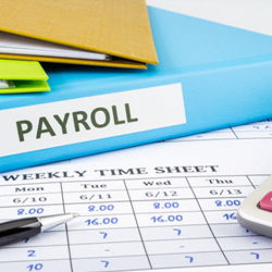 Payroll Services