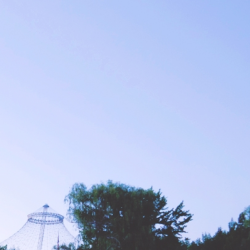 Business Savings Accounts