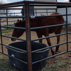 Horse Shelters