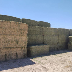 Hay
