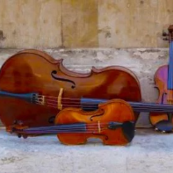 Hood River String Quartet